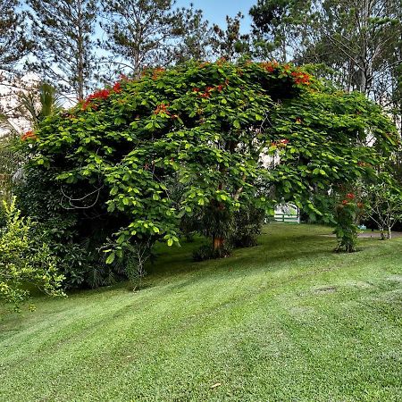 Gaestezimmer In Der Villa Zimmer Jarabacoa Dış mekan fotoğraf