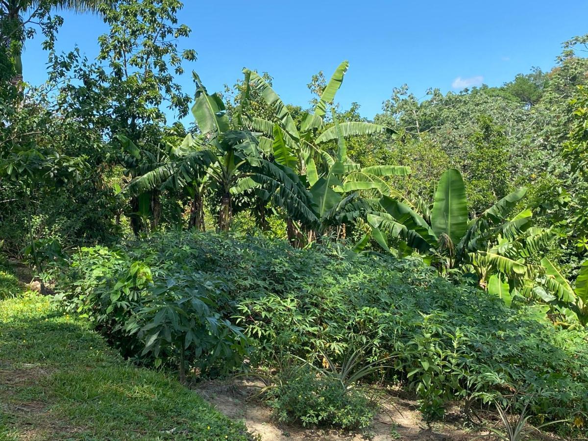 Gaestezimmer In Der Villa Zimmer Jarabacoa Dış mekan fotoğraf